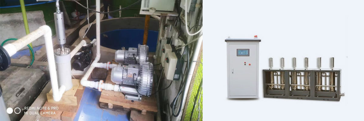 ثقافة الجمبري --- تعقيم المياه والتربية